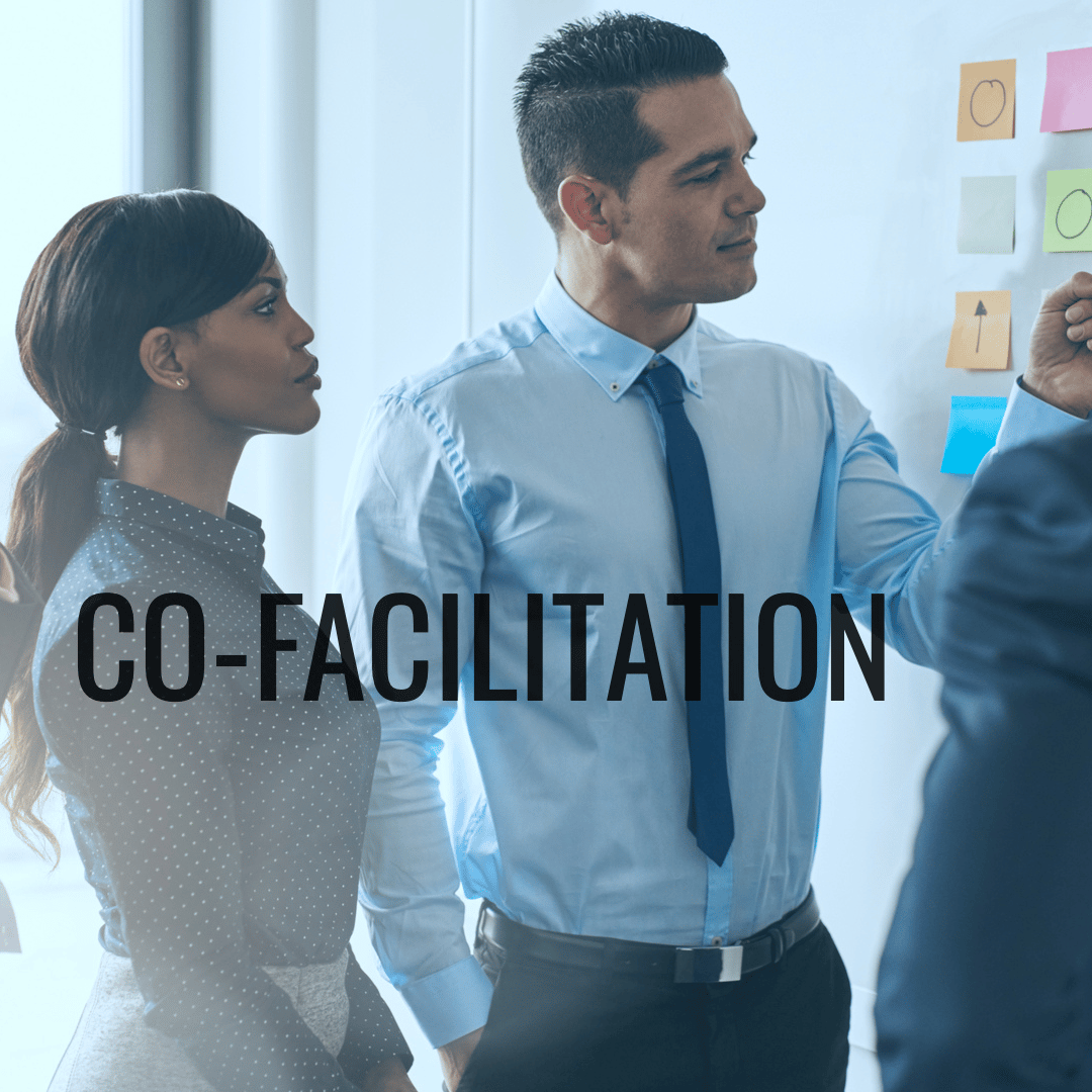 Co-facilitation_KA_MATE_Strategy
